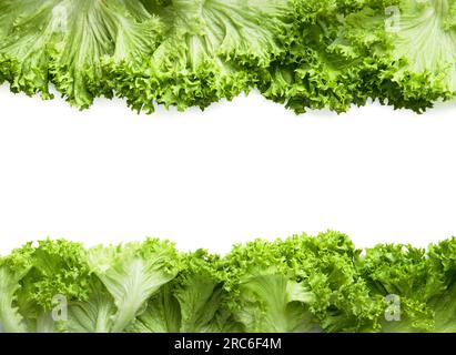 Blätter eines frischen grünen Salats auf weißem Hintergrund, Ansicht von oben, mit Platz für Text. Nützliche Produkte, Vegetarismus, eine Quelle von Vitaminen Stockfoto