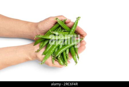 Schoten frischer grüner Erbsen in den Händen auf weißem Hintergrund, Draufsicht, Nahaufnahme. Organische grüne Erbsen in weiblichen Palmen. Pflanzliches Eiweiß, gesunde Produkte. Stockfoto