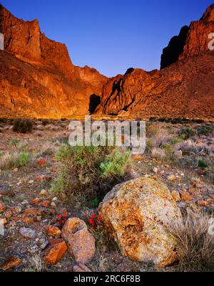 Sonnenaufgang im Frühling in der Thousand Creek Gorge im nordwestlichen Sheldon National Wildlife Refuge von Nevada Stockfoto