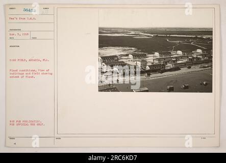 Dorr-Feld in Arcadia, Florida mit Überschwemmungen. Das Bild zeigt einen Blick auf Gebäude und das Feld und zeigt das Ausmaß des Hochwassers. Das Foto wurde am 5. November 1918 von Fotograf 56432 aufgenommen und von der D.M.A. empfangen Dieses Foto ist nicht zur Veröffentlichung bestimmt und nur für den offiziellen Gebrauch bestimmt." Stockfoto