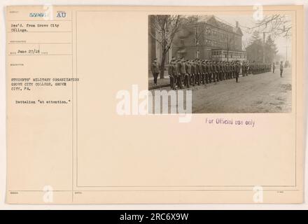 Bild einer militärischen Studentenorganisation am Grove City College in Pennsylvania. Das Bataillon wird aufmerksam angezeigt. Foto vom Grove City College. Sie ist mit der Belegnummer 55966 gekennzeichnet und ging am 27. Juni 1918 ein. In der Beschreibung wird darauf hingewiesen, dass das Bild nur für den offiziellen Gebrauch bestimmt ist. Stockfoto