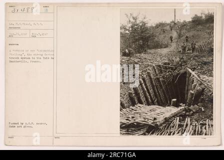 Bildunterschrift: LT. P.W. Cloud, S.P.C.-Foto aufgenommen am 21. Dezember 1918, zeigt einen Teil der „KRIEMIITLDE Stellung“, das starke deutsche Grabenabensystem im Bois de Bantheville, Frankreich. Das Foto wurde vom A.E.F.-Zensor übergeben, Datum nicht angegeben. G HINWEISE: WN 1--2004. Stockfoto