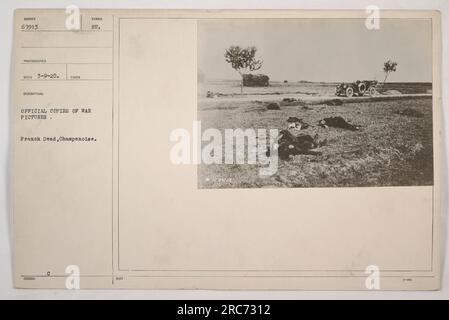 Foto mit französischen Soldaten, die im Ersten Weltkrieg in der Region Champenoise ihr Leben verloren haben. Das Bild ist eine offizielle Kopie eines Kriegsbildes mit der Nummer 67913, aufgenommen von einem Fotografen am 3. September 1920. Das Foto ist Teil einer Sammlung mit dem Titel „Offizielle Kopien von Kriegsfotos“ und trägt das Symbol „gu“. Dieses Foto wurde unter der Bezeichnung "French Dead, Champenoise" herausgegeben. Stockfoto