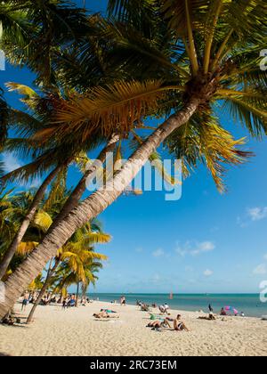 Strand Stockfoto