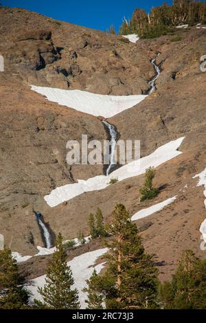 Auf dem Sonora Pass in der Sierra Nevada gibt es dieses Jahr viele kleine Wasserfälle aufgrund eines nassen Winters in Kalifornien. Stockfoto