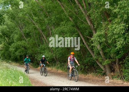 Drei Radfahrer auf dem Otago Central Rail Trail, grüne Bäume entlang des Weges. Zentrum Von Otago. Südinsel. Stockfoto