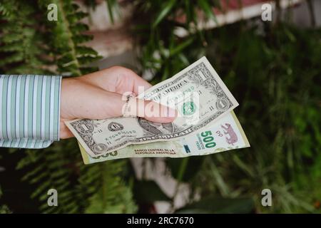 Die Hand einer Frau, die Geld hält. 1 Dollar sind 500 argentinische Pesos. Inflationskonzept, Anstieg des Dollars und Abwertung der argentinischen Währung. Stockfoto