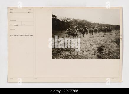 Signal-Korps-Feldbataillon 752 in Aktion. Dieses Foto wurde 1919 von CD aufgenommen und zeigt Soldaten des Bataillons, die zusammenarbeiten, um wichtige Informationen zu übermitteln. Die Soldaten tragen das ikonische S.C. Symbol auf ihren Uniformen, das ihre Verbindung zum Signalkorps signalisiert. Stockfoto