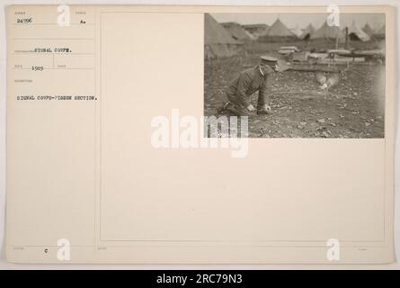 Ein Soldat von der Taubensektion des Signalkorps 1919. Tauben wurden im Ersten Weltkrieg als Kommunikationsmittel benutzt." Stockfoto