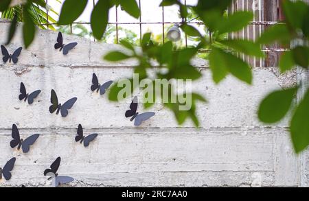 Mehrere metallische schwarze Schmetterlinge saßen auf einer Zementwand. Stockfoto