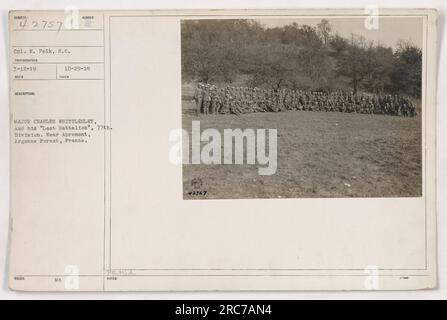 CPL. K. Polk, s.c., fotografierte Major Charles Whittlesley und sein "verlorenes Bataillon" der 77. Division bei Apremont im Argonne Forest, Frankreich, am 29. Oktober 1918. Dieses Bild zeigt die Tapferkeit und Widerstandsfähigkeit amerikanischer Soldaten im Ersten Weltkrieg Stockfoto