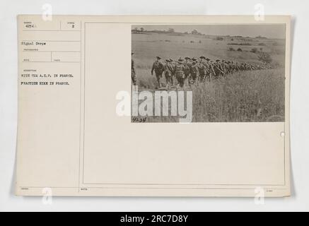 Soldaten der American Expeditionary Forces (A.E.F.) in Frankreich, die an einer Übungswanderung teilnehmen. Das Foto, das vom Signal Corps als Nummer 42344 bezeichnet wurde, zeigt militärische Aktivitäten während des Ersten Weltkriegs. Die Beschreibung besagt, dass die Soldaten eine Probewanderung in Frankreich machen. Dieses Foto hat historische Bedeutung, da es die Übungen amerikanischer Truppen während des Krieges dokumentiert. Stockfoto