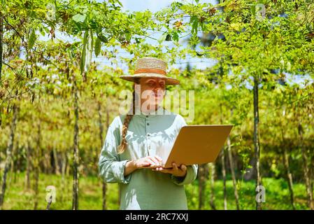 Eine Agronomistin mit Laptop beobachtet Ernteverluste auf dem Hof. Eine Kaukasierin, die die Folgen von Dürre untersucht, gibt Daten in den Computer ein. Modern Stockfoto