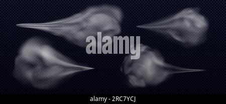 Staub-Wasser-Sprühvektor. Luftnebelraucheffekt auf transparentem Hintergrund isoliert. 3D Spritzer Pulverpartikel und abstraktes kosmetisches Tropfenset. Luftig Stock Vektor