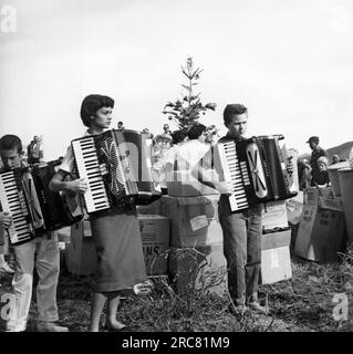 Los Angeles, Kalifornien: ca. 1960 drei junge Akkordeonspieler treten draußen vor einer Gruppe von Menschen auf, die um einen zickigen Weihnachtsbaum und einen Haufen beweglicher Boxen herumlaufen. Stockfoto