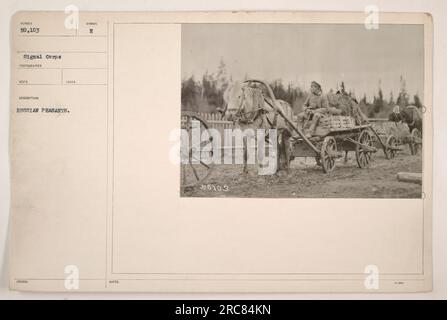 Bild russischer Bauern im Ersten Weltkrieg. Dieses Foto wurde vom Fotografen des Signalkorps aufgenommen und ist Teil einer Sammlung von 50.103 Bildern. Die Beschreibung besagt, dass er russische Bauern gefangen nimmt. Aus dem beigefügten Hinweis geht hervor, dass das Symbol E und die Nummer 50103 in einer Reihe von 1 bis 1000 zugeordnet wurden. Stockfoto