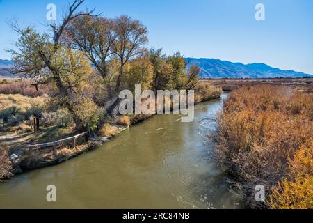 Owens River in Owens Valley, Sierra Nevada in der Ferne, Spätherbst, nahe Big Pine, Kalifornien, USA Stockfoto