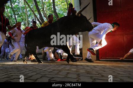 Pamplona, Spanien, Donnerstag, 13. Juli 2023. Der Kampfstier eines Victoriano del Río wird während der San Fermín Fiestas in Pamplona am siebten Tag des Stierlaufs unter den feierlichen Feiern getrieben. Kredit: Mikel Cia Da Riva/Alamy Live News Stockfoto