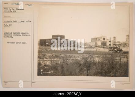 Chemical Warfare Service, Edgewood Arsenal, Edgewood, Maryland. Dieses Foto, beschriftet mit SURVECT 54728 Prom C. 0. Edgewood Arsenal, Md., wurde am 27. August 1918 von einem nicht identifizierten Fotografen aufgenommen und am 6. September 1918 empfangen. Das Bild zeigt den Standort der Chloranlage in Edgewood Arsenal, der während des Ersten Weltkriegs eine wichtige Rolle in der chemischen Kriegsführung spielte Stockfoto