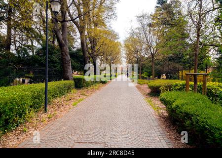 Stadtpark und Spazierwege unter Bäumen in Padua, Veneto, Italien. Stockfoto