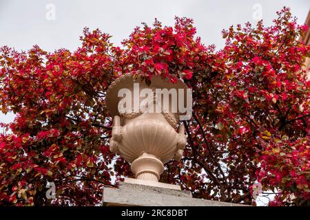 Klassische Gartendekoration mit Fuchsia-Blumen in einer kunstvoll verzierten Steinvase, italienische Architekturdetails. Stockfoto