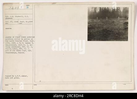 Gräber der ersten drei amerikanischen Soldaten, die am 16. September 1918 an der nordrussischen Front getötet wurden. Die Soldaten waren Ignacy H. Kwasniewski, Mech. Co Anthony Soczkoski, Pvt. Co Ich und Philip Bokel, Pvt. Co Ich, alle vom 339. Regt. Inf. Oboxerskaya, Russland. Foto aufgenommen am 21. September 1918. Stockfoto