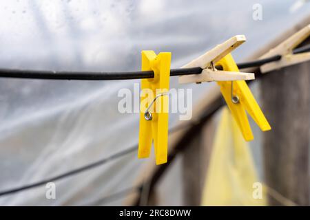 Gelbe Wäscheklammern hängen an der schwarzen Linie Stockfoto