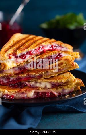 Gegrillte Sandwiches mit Käse, Schinken und Cranberry-Chutney auf dem Teller. Perfekt für das Weihnachtsessen. Stockfoto