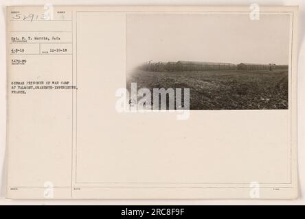 Das Bild zeigt ein deutsches Kriegsgefangenenlager in Talmont, Charente-Infereiure, Frankreich. Das Objekt auf dem Foto wird identifiziert als Sergeant P. T. Morris, S.C. Das Foto wurde am 19. Dezember 1918 aufgenommen, mit der Beschreibungsnummer 52913. Treb war der Fotograf. Stockfoto