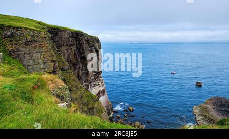 Nistklippen auf Handa Island Stockfoto