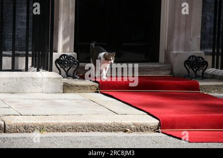 Joe Biden, Besuch des britischen Premierministers Rishi Sunak in der Downing Street (/SPP). Kredit: SPP Sport Press Photo. Alamy Live News Stockfoto