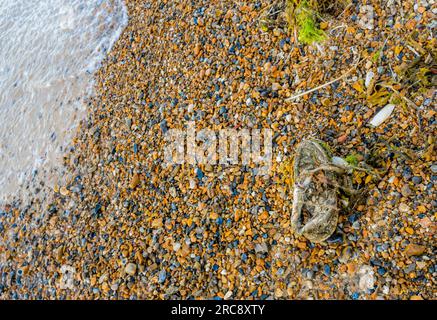 Ein alter Schuh oder Trainer wurde am Kieselstrand in Happisburgh, Norfolk, England, angespült. Stockfoto