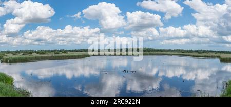 Panoramablick oder Weitwinkelblick auf das RSPB-Naturschutzgebiet Strumpshaw fen in Norfolk. Stockfoto