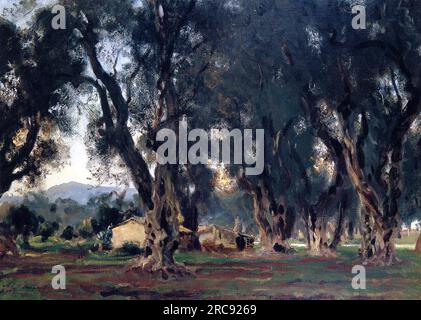 Olive Trees at Corfu 1909 von John Singer Sargent Stockfoto