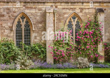 Geografie/Reisen, Großbritannien, Wiltshire, Lacock, Lacock Abbey, WILTSHIRE, ENGLAND, ZUSÄTZLICHE-RECHTE-FREIGABE-INFO-NICHT-VERFÜGBAR Stockfoto