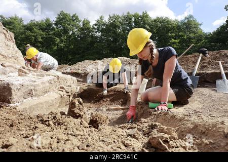 13. Juli 2023, Sachsen-Anhalt, Wernigerode: Freiwillige unterstützen die archäologischen Untersuchungen im ehemaligen Kloster Himmenpforte in Wernigerode. Das Augustinerkloster Himmelpforte - auch Himmelpforten genannt - wurde vor 1253 von der niederen Adelsfamilie Hartesrode gegründet. 1516 besuchte Martin Luther (1483-1546) das Kloster. Nachdem das Kloster während der Reformation verlassen wurde, fielen die Gebäude auseinander und wurden später fast vollständig abgerissen. Besonders beeindruckend sind die Fundamente, die immer noch mehr als einen Meter hoch sind, einer großen spätgotischen Struktur mit massivem aber Stockfoto