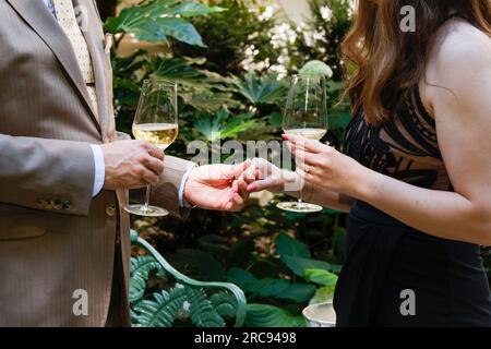 HEIRATSANTRAG IN PARIS IN EINEM PARISER PALAST Stockfoto