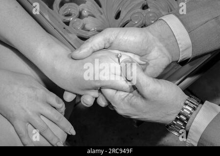 HEIRATSANTRAG IN PARIS IN EINEM PARISER PALAST Stockfoto