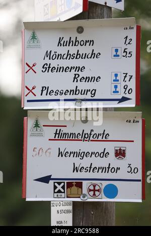 13. Juli 2023, Sachsen-Anhalt, Wernigerode: Blick auf einen Wanderwegweiser mit der Inschrift Himmelpforte. Das Augustinerkloster Himmelpforte - auch Himmelpforten genannt - wurde vor 1253 von der niederen Adelsfamilie Hartesrode gegründet. 1516 besuchte Martin Luther (1483-1546) das Kloster. Nach dem Verlassen des Klosters während der Reformation fielen die Gebäude in Verfall und wurden später fast vollständig abgerissen. Besonders beeindruckend sind die Fundamente eines großen spätgotischen Bauwerks mit mächtigen Pfeifen, die immer noch mehr als einen Meter hoch sind. Foto: Matthias Bein/d Stockfoto