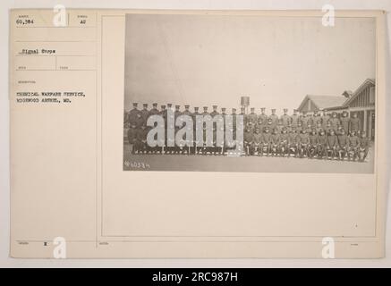 Soldaten des Chemiekriegsdienstes in Edgewood Arsenal, Maryland während des 1. Weltkriegs Das Bild zeigt Militärpersonal, das an der Ausbildung und Vorbereitung für chemische Kriegsführung beteiligt ist. Sie tragen Schutzkleidung beim Umgang mit Geräten und Materialien, die mit der chemischen Kriegsführung in Verbindung stehen. Stockfoto