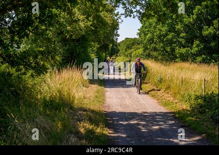 Drei Geher mittleren Alters und ein Radfahrer auf dem Downs Link Path, einer stillgelegten Bahnlinie. West Grinstead, West Sussex, England. Stockfoto