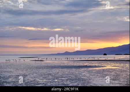 Sonnenaufgang am Lake Natron mit Flamingos, Lake Natron, Ngorongoro Conservation Area, Tansania, Afrika Sonnenaufgang am Lake Natron mit Flamingos, Lake Stockfoto