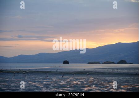 Sonnenaufgang am Lake Natron mit Flamingos, Lake Natron, Ngorongoro Conservation Area, Tansania, Afrika Sonnenaufgang am Lake Natron mit Flamingos, Lake Stockfoto