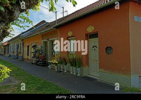 Straßenansicht, Geschäft, Blumen Stockfoto