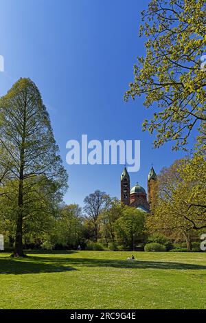 Schum-Stadt, Domgarten, Dom zu Speyer, Kaiserdom, St. Maria und St. Stephan, geweht 1061 Stockfoto