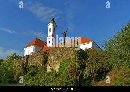 Burg Vác, Váci Vár, Kloster, Kirche, Váci Szent Kereszt Conferences templom, Skulptur, König Géza I. von Ungarn, I. Géza Kiraly Scobra Stockfoto