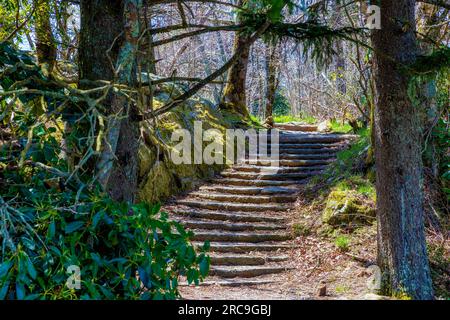Treppen auf dem Blue Ridge Parkway in North Carolina, USA, führen zu einem weiteren Aussichtspunkt Stockfoto