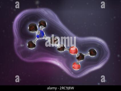Illustration des Neurotransmitters Acetylcholin als Stäbchenmodell auf