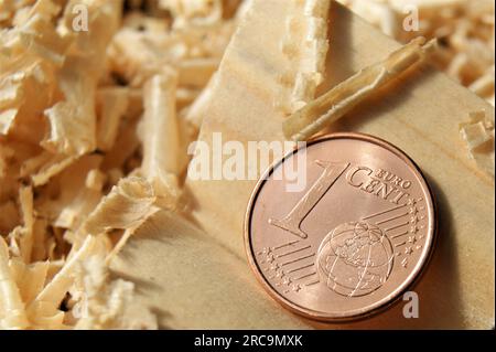 Währung der Eurozone 1 Euro Cent. Eine neue Münze in der Zimmermannswerkstatt. Stockfoto