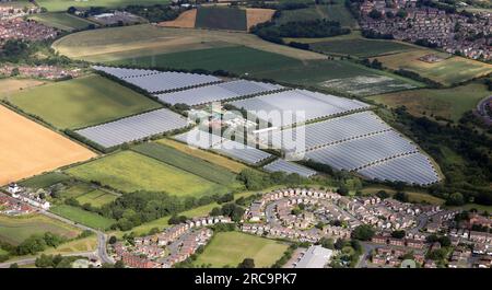 Aus der Vogelperspektive sehen Sie die Polyttunnel der E Oldroyd & Sons Hopefield Farm, wo Yorkshire forcierter Rhabarber angebaut wird Stockfoto